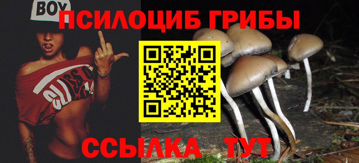 Псилоцибиновые грибы Psilocybine cubensis  где купить наркотик  Шелехов  Вход с VPN 