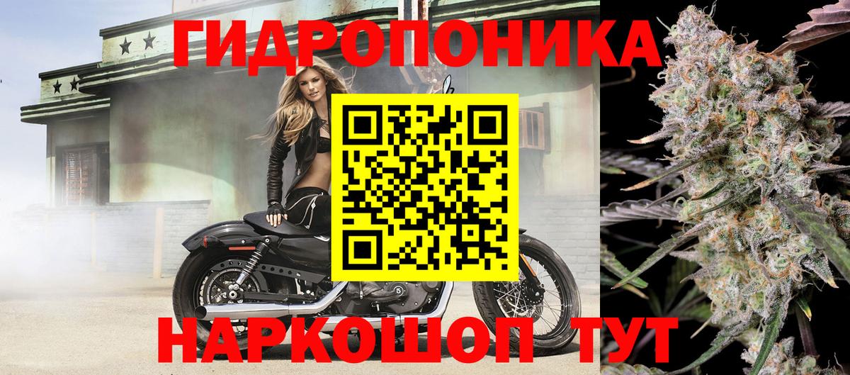 Каннабис семена Шелехов